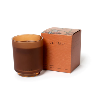 Illume Terra Tabac Refillable Boxed Glass Candle