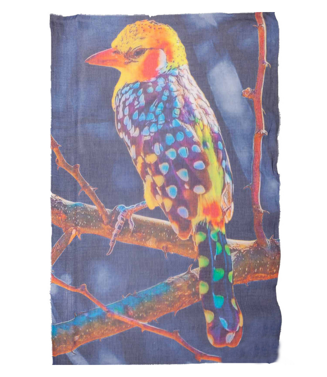 Vintage Hummingbird Denim