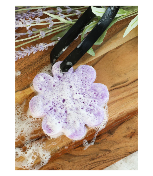 French Lavender Wild Flower