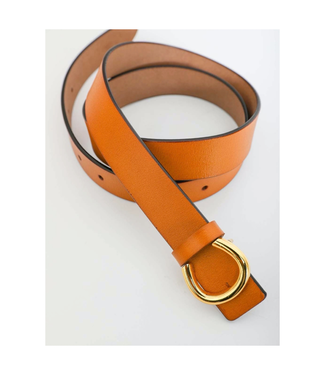 Gold Horseshoe Belt