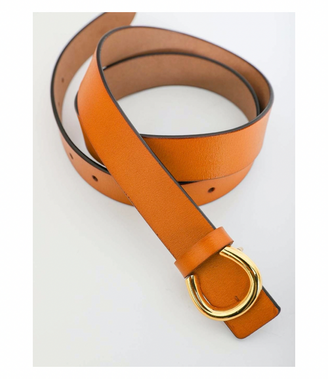 Gold Horseshoe Belt