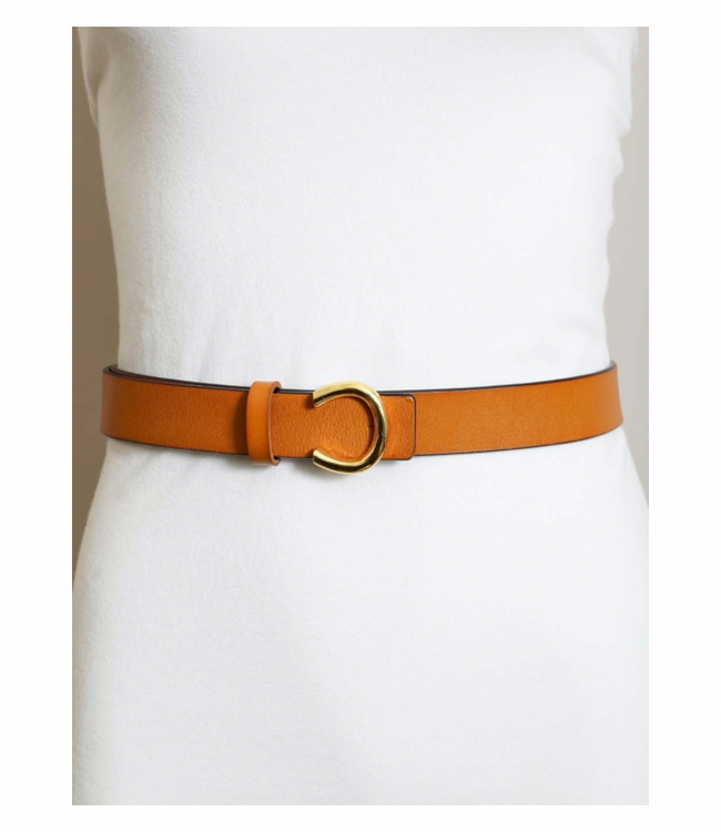 Gold Horseshoe Belt