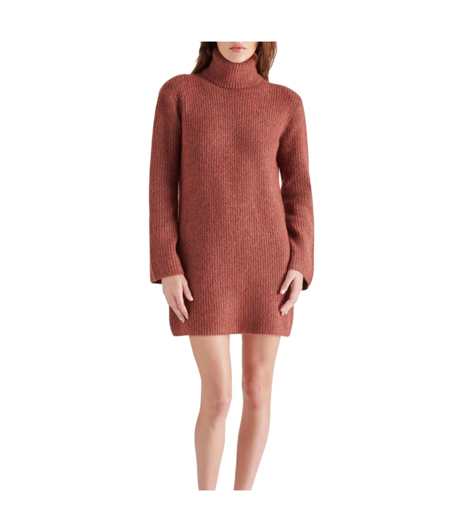 Steve Madden Abbie Sweater Dress