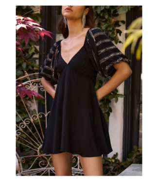 Saltwater Luxe Rossy Mini Dress