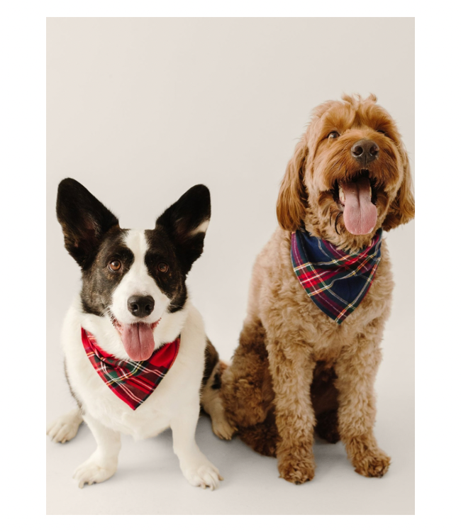 Imperial Tartan Dog Bandana Large
