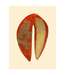 Powder Design Velvet Headband - Elephant in Terracotta