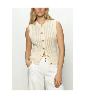 Sanctuary Pointelle Top