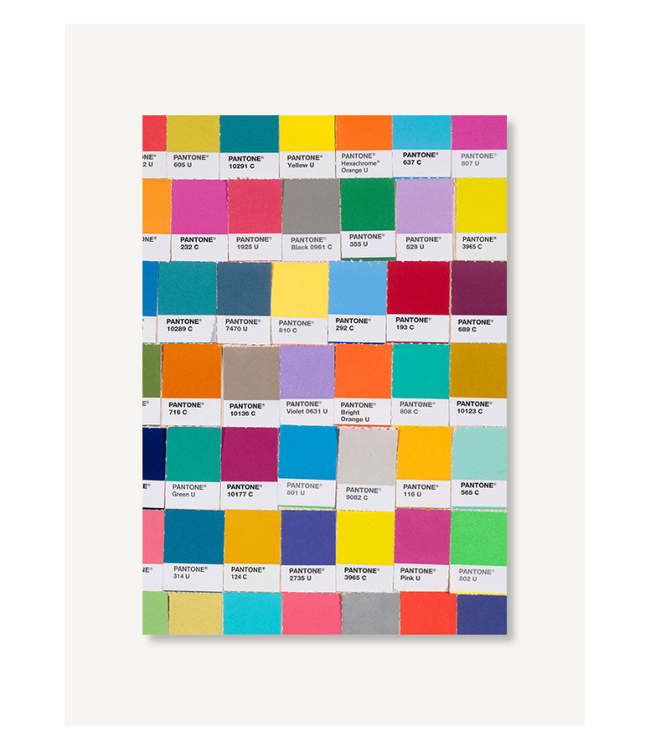 Pantone Chips Journal