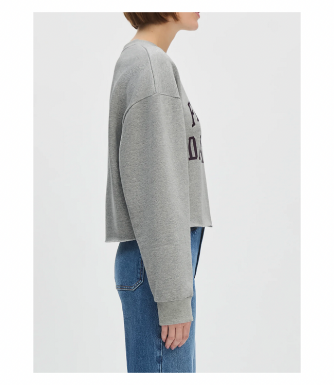 The Cropped Collegiate Sweatshirt