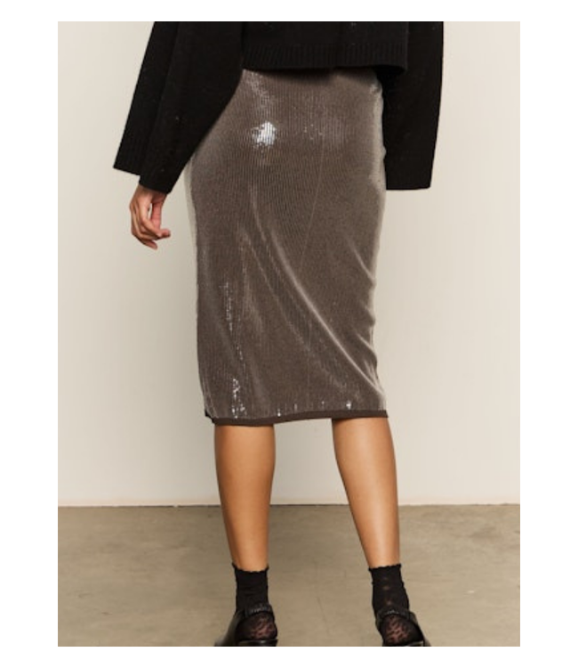 Sparkle Sequin Pencil Skirt
