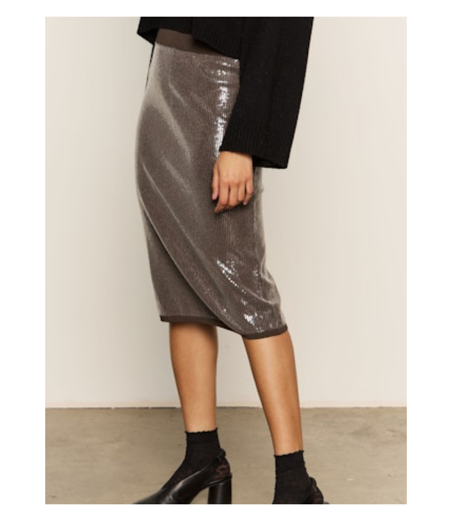 Sparkle Sequin Pencil Skirt
