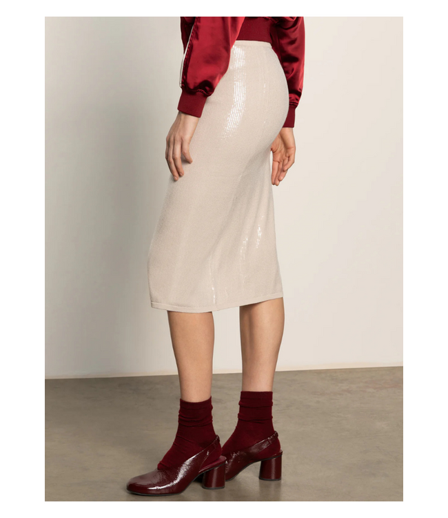 Sparkle Sequin Pencil Skirt