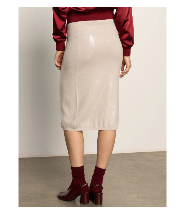 Sparkle Sequin Pencil Skirt