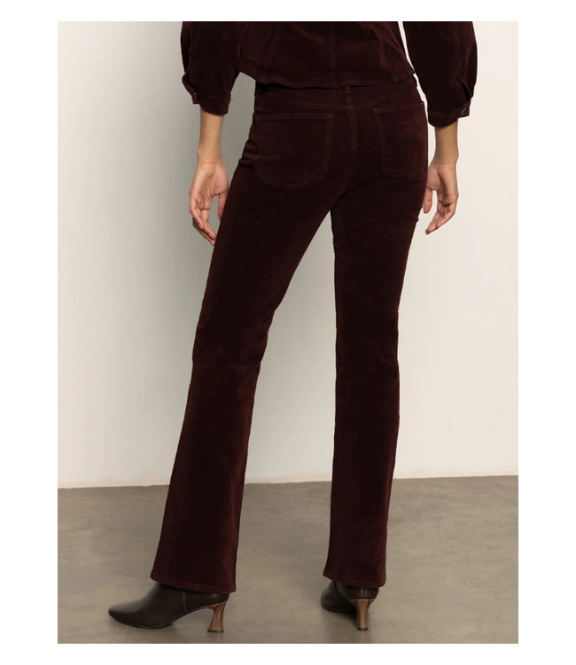 Velveteen Brook Bootcut