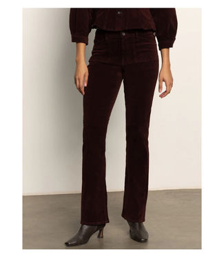 Sanctuary Velveteen Brook Bootcut