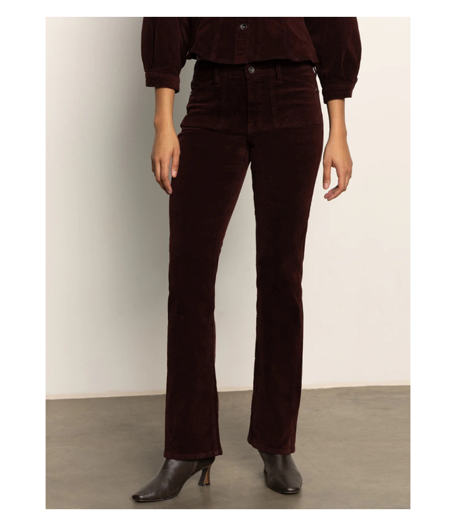 Velveteen Brook Bootcut