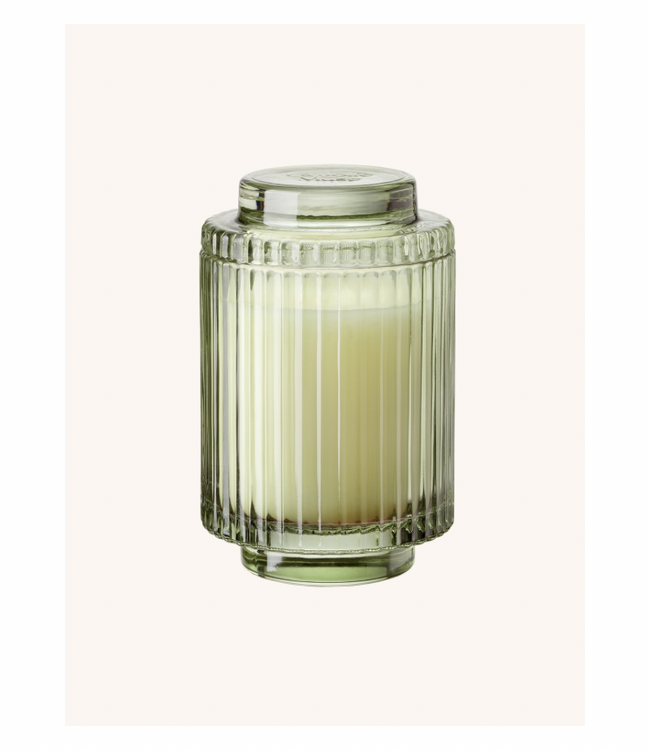 Amelie Kyoto Vine & Moss Candle