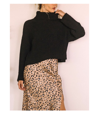 Skies Are Blue Skylar Sweater