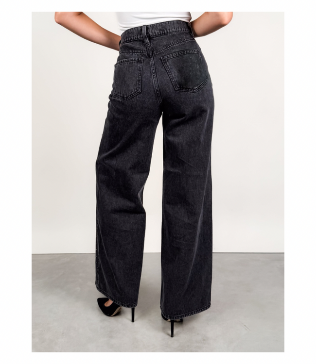 The Wanderer High Rise Wide Leg