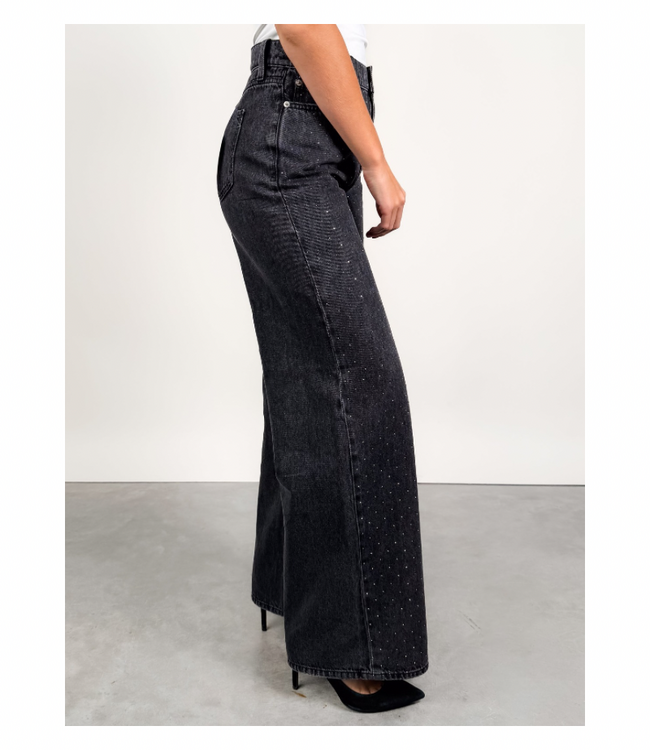 The Wanderer High Rise Wide Leg