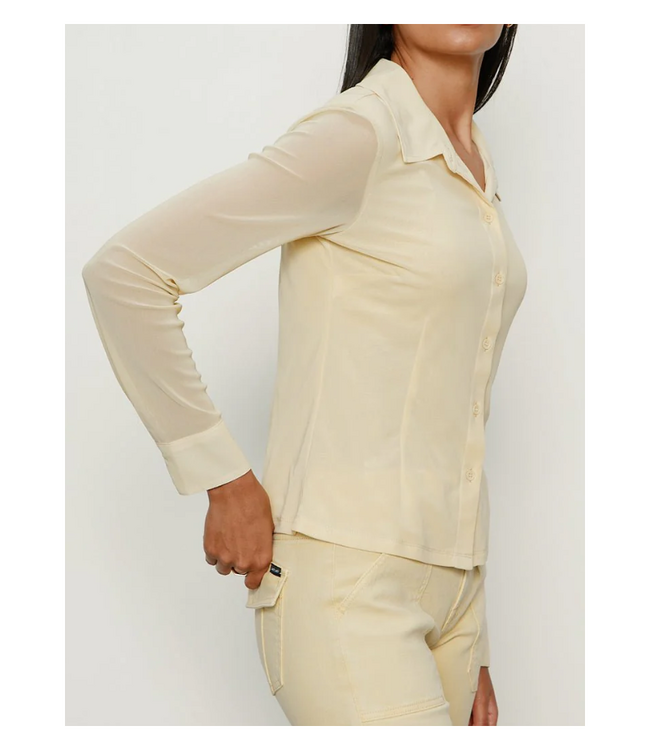 Fitted Mesh Button Down