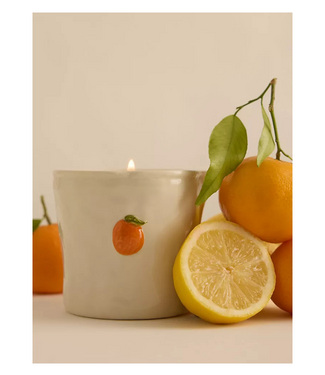 Bistro Candle - Orange Citrus Spritz