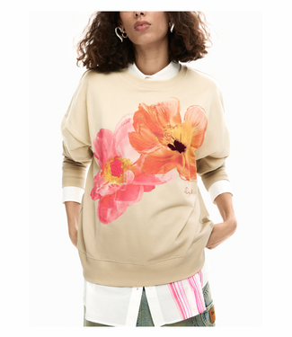 Desigual Noah Sweater
