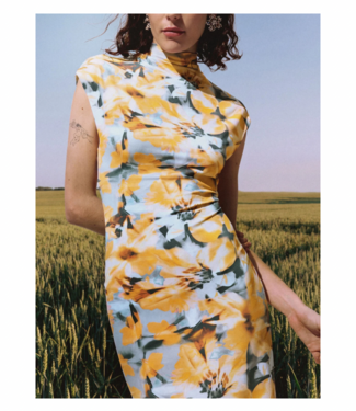 Desigual Martha Dress