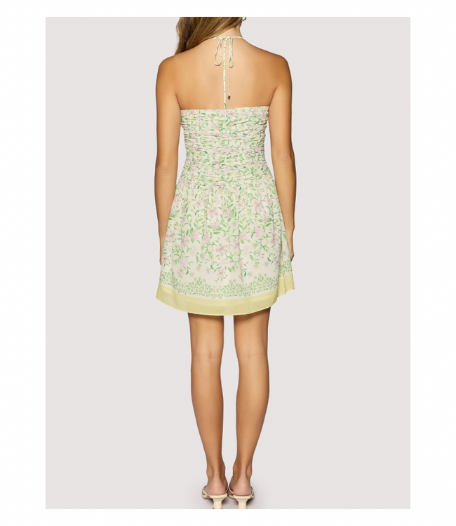 Wisteria Muse Mini Dress