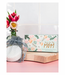 Cait + Co Best Mom Shower Steamer Gift Set