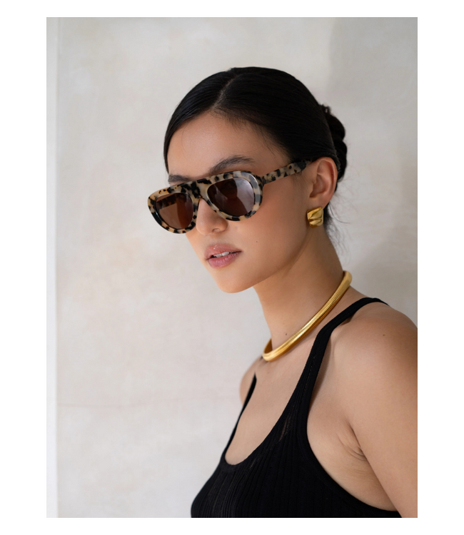 Jetstter Acetate Sunglasses
