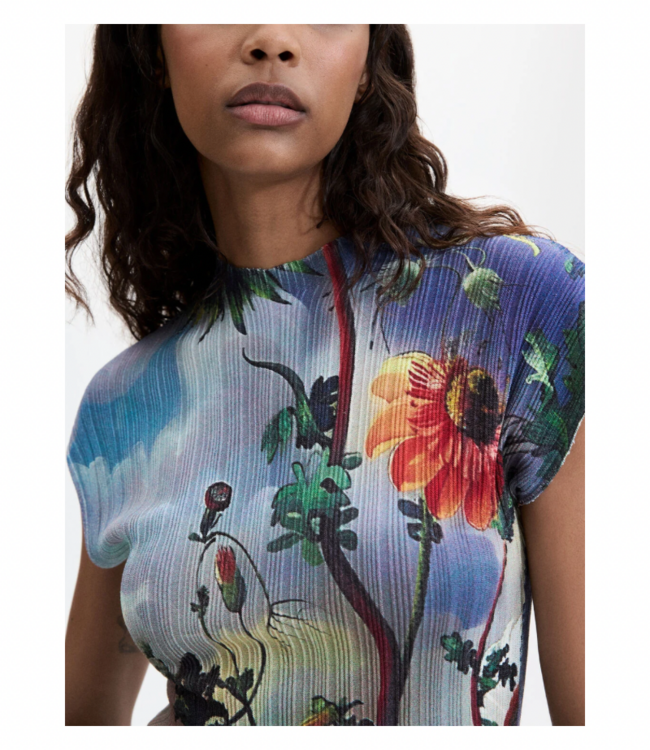 Alice Top