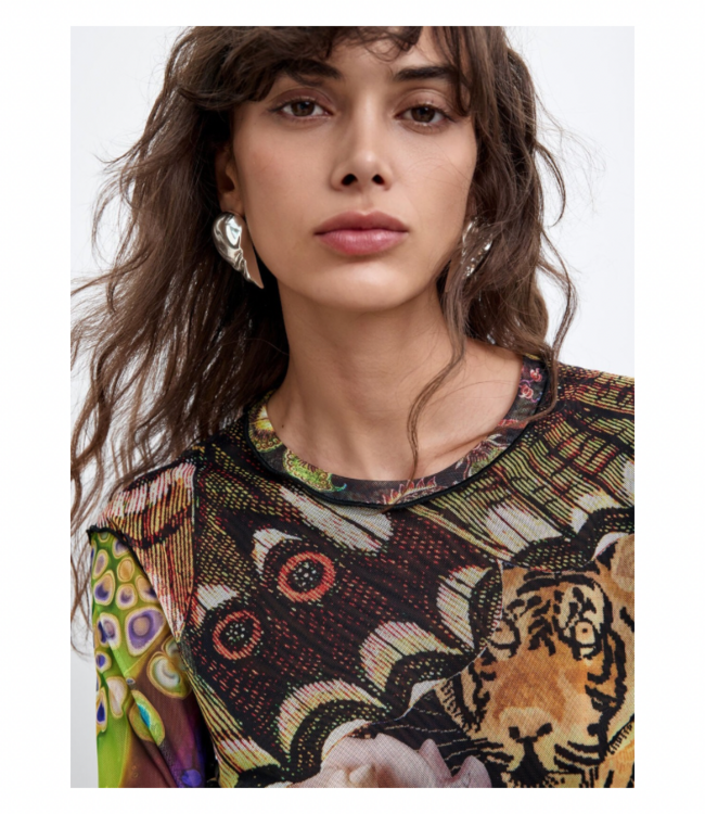 LaCroix Lion Top