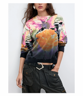 Desigual LaCroix Rose Degrade Sweater