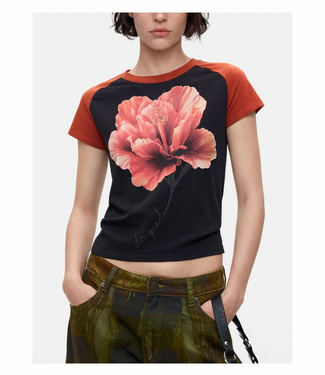 Desigual Tebas Tee