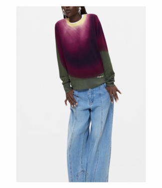 Desigual Veget Sweater