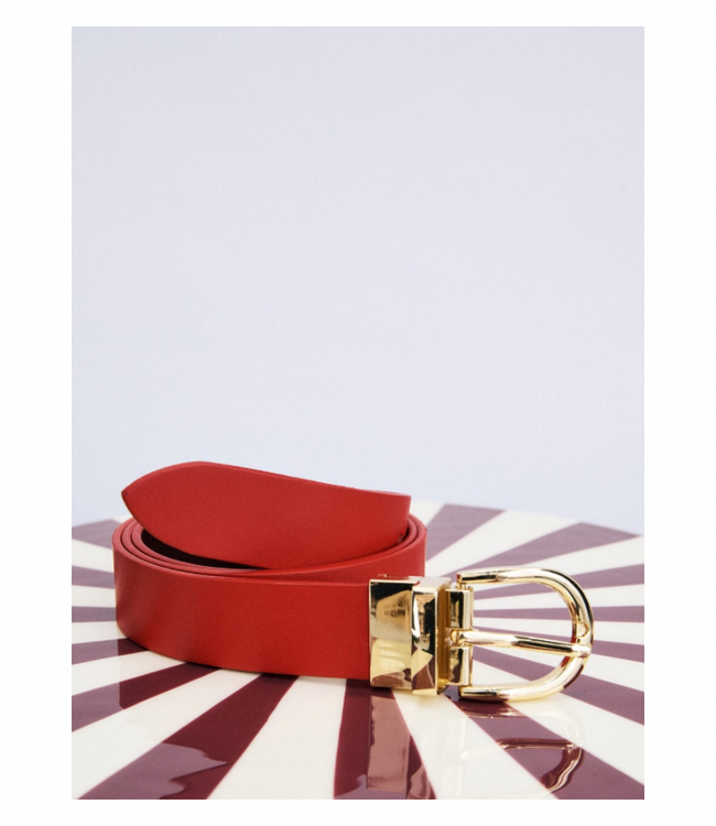 Magnet Belt