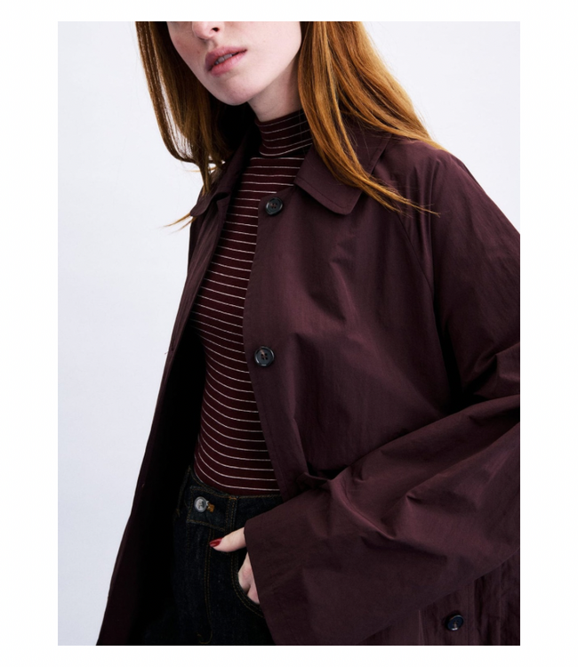 Tomita Trench