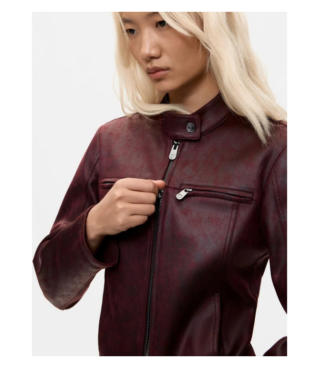 Bikercy Jacket