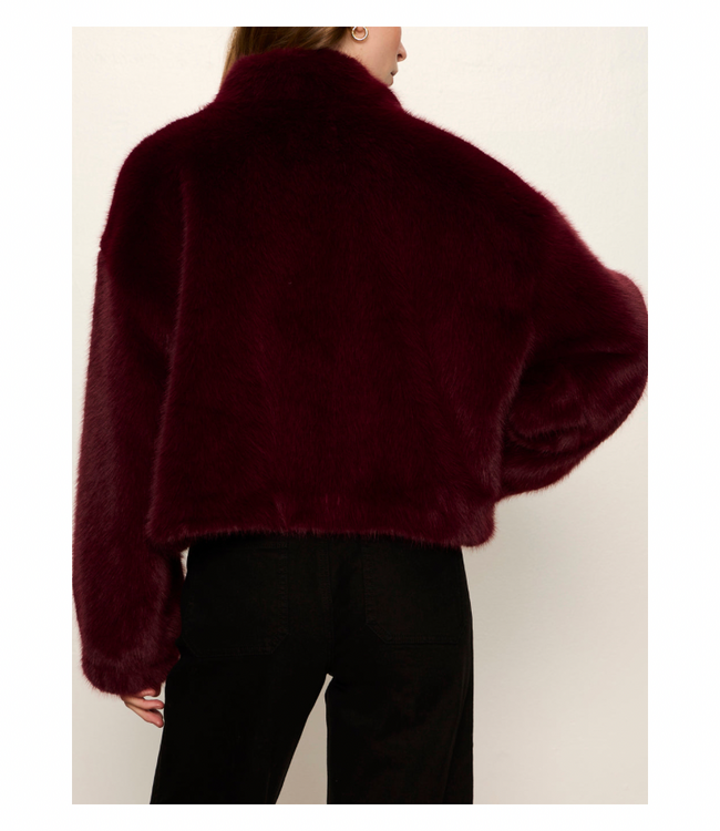 Everest Fur Bomber