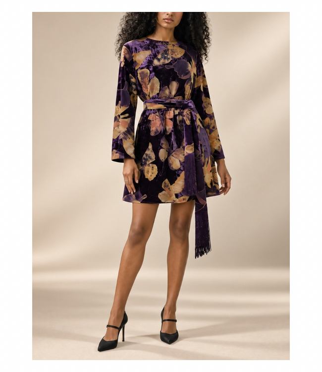 Velvet Burnout Mini Dress