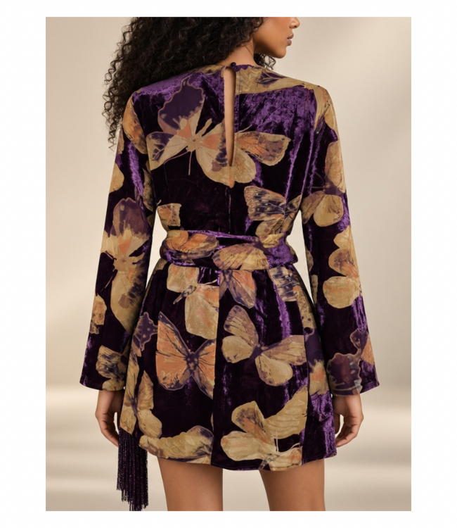 Velvet Burnout Mini Dress