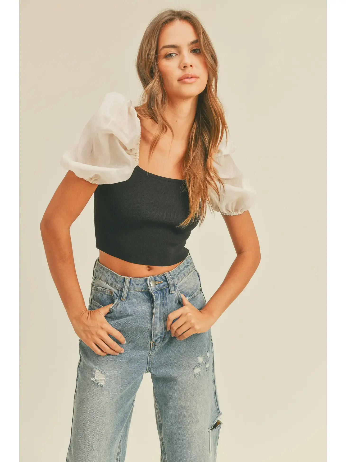 Sheer Puff Sleeve Top - Ro and Co Clothing Sheer Puff Sleeve Top - Ro and Co Clothing