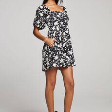Saltwater Luxe Lyra Mini Dress