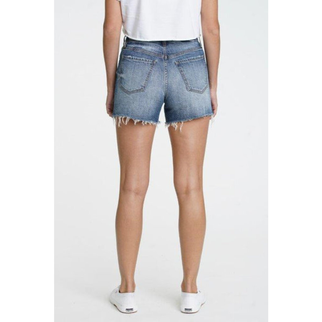 DAZE Bottom Line High Rise Vintage
