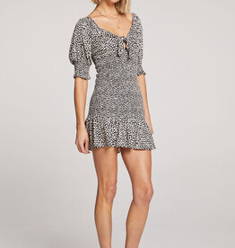 Saltwater Luxe Allyson Mini Dress