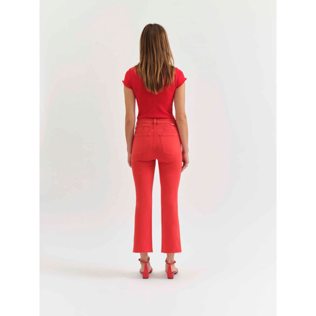 DAZE Shy Girl Raw Cut High Rise- Cherry