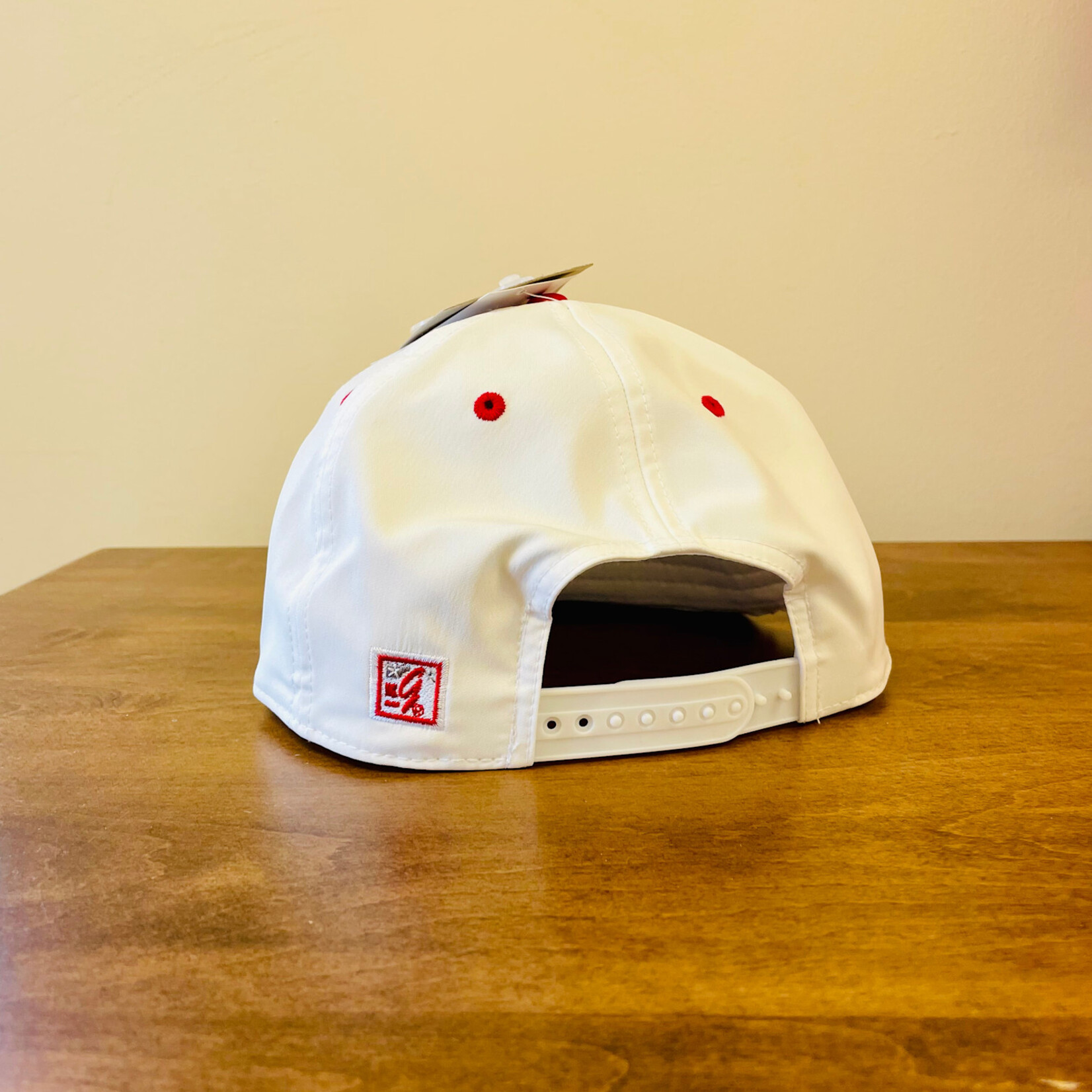 Gamechanger Hawks Cap  (White)