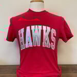 Comfort Color Hawks Applique Shirt