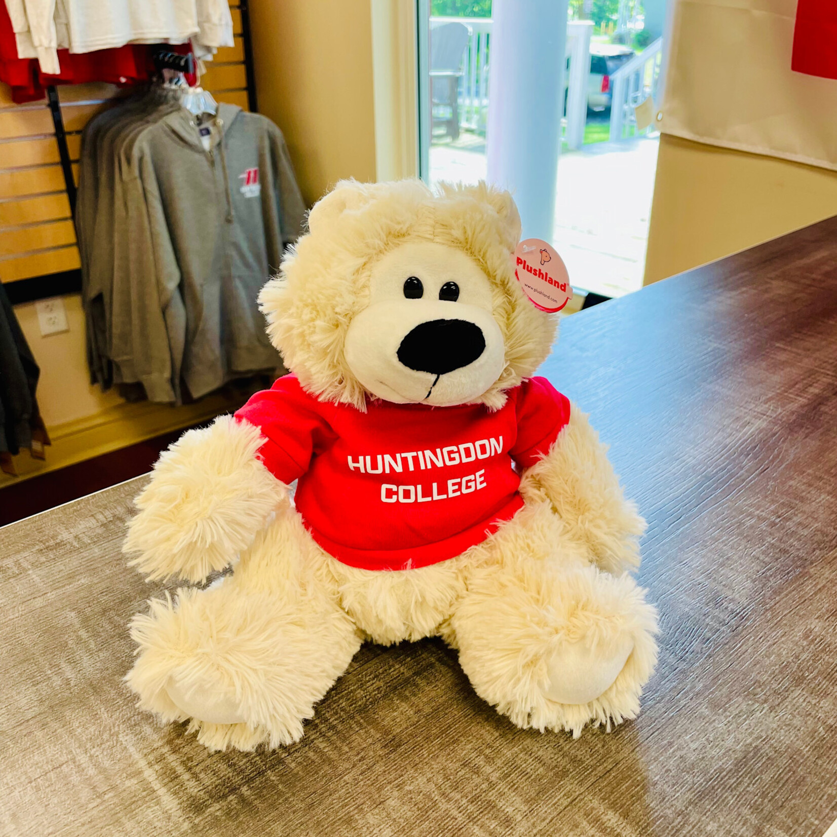 Huntingdon  College Teddy Bear